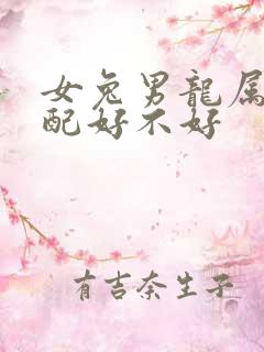 女兔男龙属相婚配好不好