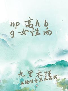 np 高h bg 女性向