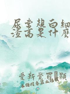 尿常规白细胞沉渣高是什么意思