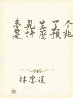 梦见生了个男孩是什么预兆