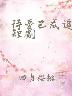 待爱已成追忆 短剧