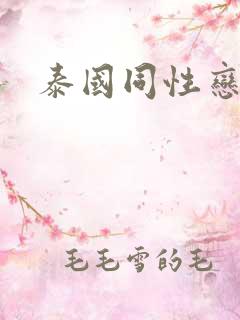 泰国同性恋网站