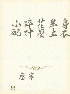 小碎花半身裙搭配什么上衣好看