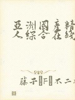 亚洲国产精品成人综合在线