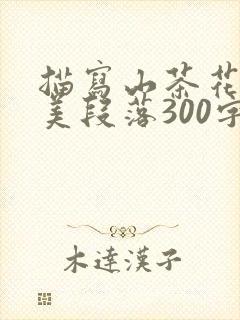 描写山茶花的优美段落300字