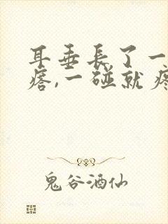 耳垂长了一个疙瘩,一碰就疼