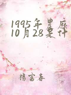 1995年农历10月28是什么星座