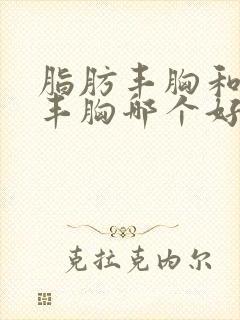 脂肪丰胸和假体丰胸哪个好