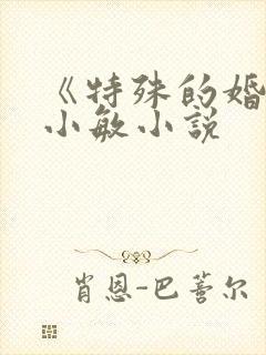 《特殊的婚礼》小敏小说