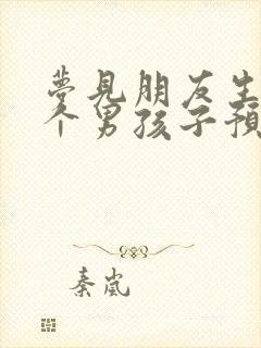 梦见朋友生了一个男孩子预示什么