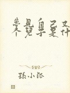 梦见自己又生了个儿子是什么意思