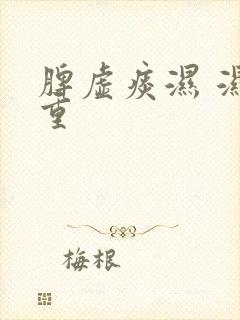 脾虚痰湿 湿气重