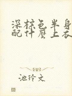 深棕色半身裙搭配什么上衣好看