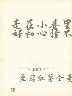 走在小巷里心情好和心情不好