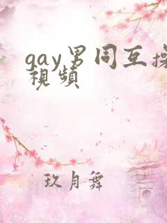 gay男同互操视频