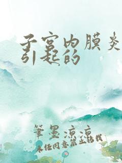 子宫内膜炎原因引起的