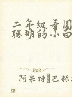 二年级看图写话聪明的小白兔