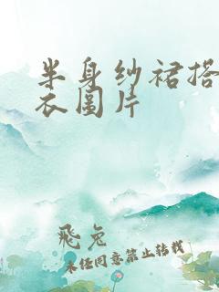 半身纱裙搭配上衣图片