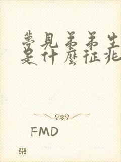 梦见弟弟生小孩是什么征兆