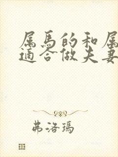 属马的和属牛的适合做夫妻吗