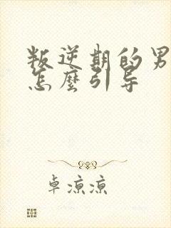 叛逆期的男孩子怎么引导