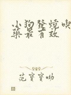 小狗发烧吃什么药最有效