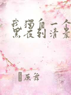 我独自一个人从黑夜到清晨什么歌