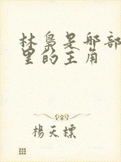 林枭是哪部小说里的主角