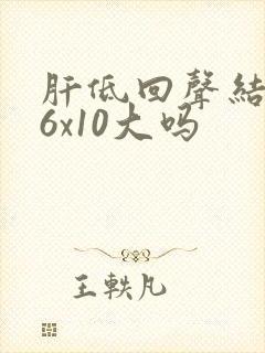 肝低回声结节16x10大吗