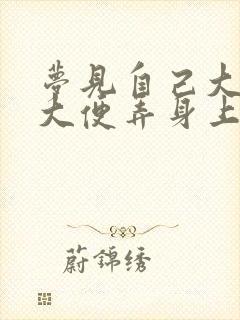 梦见自己大便时大便弄身上