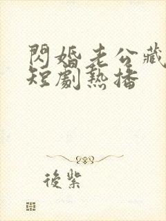 闪婚老公藏不住短剧热播