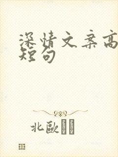 深情文案高质量短句