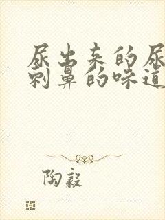 尿出来的尿一股刺鼻的味道是怎么回事