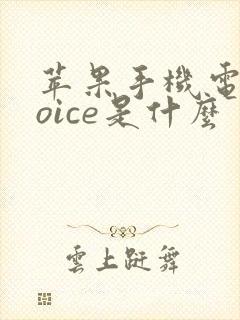 苹果手机电话voice是什么