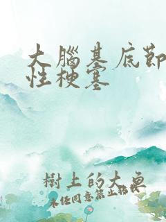 大脑基底节腔隙性梗塞