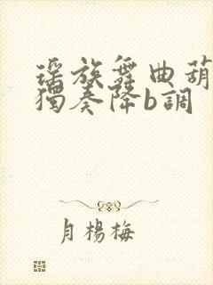 瑶族舞曲葫芦丝独奏降b调