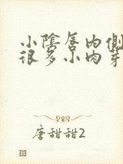 小阴唇内侧长了很多小肉芽不疼不痒