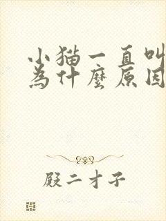 小猫一直叫是因为什么原因