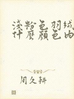 浅粉色羽绒服配什么颜色内搭