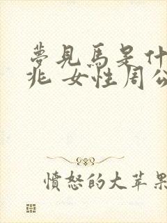 梦见马是什么预兆 女性周公解梦