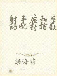 射手座和摩羯座的配对指数