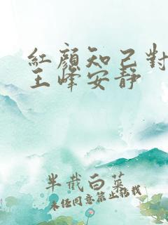 红颜知己对唱版王峰安静