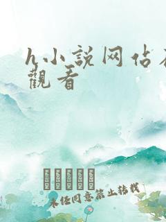 h小说网站在线观看