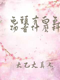 龟头有白色脓状物看什么科