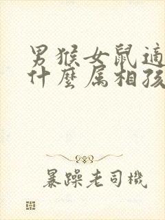 男猴女鼠适合生什么属相孩子