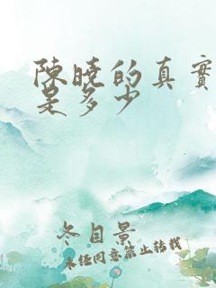 陈晓的真实身高是多少