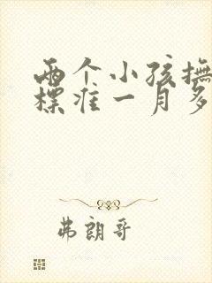 两个小孩抚养费标准一月多少钱2023年