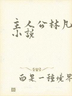 主人公林凡叶惜小说