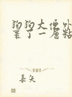 狗狗大便外面包裹了一层粘液