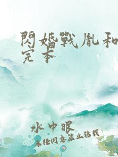 闪婚战胤和海彤完本